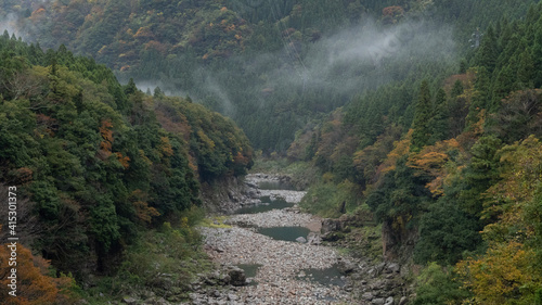 landscape in autumn © sagoh423