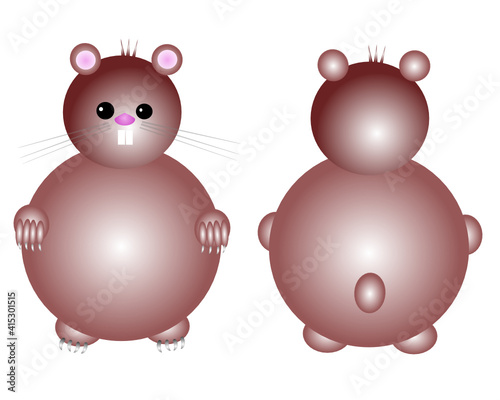 Chubby spherical hamster front and back vector