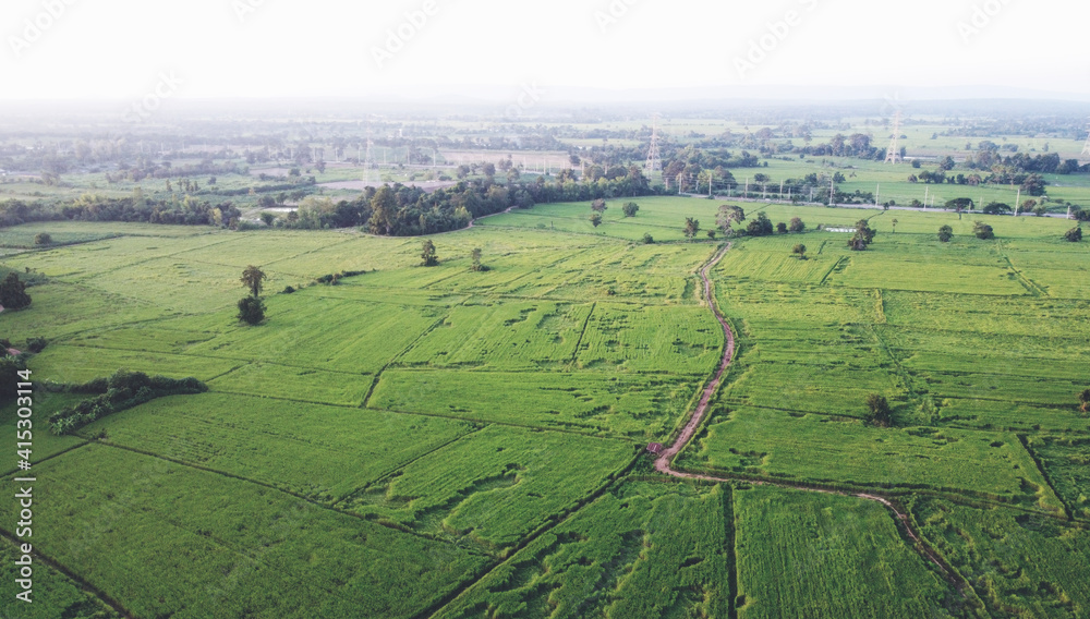 Aerial photographs of drones Rural green farmland.