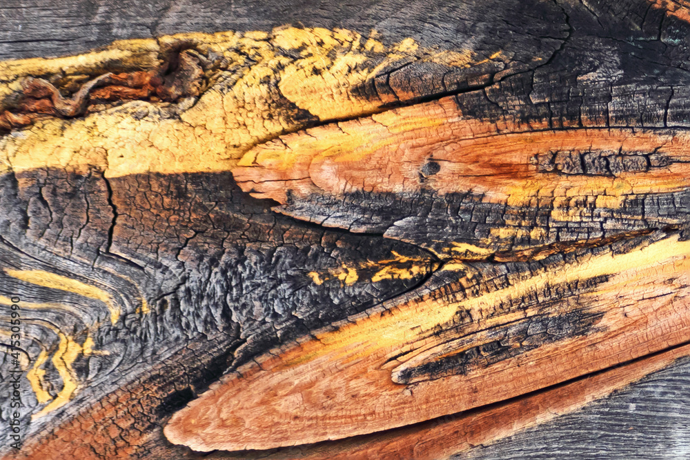 Obraz premium Fragment of a dilapidated pine board close-up