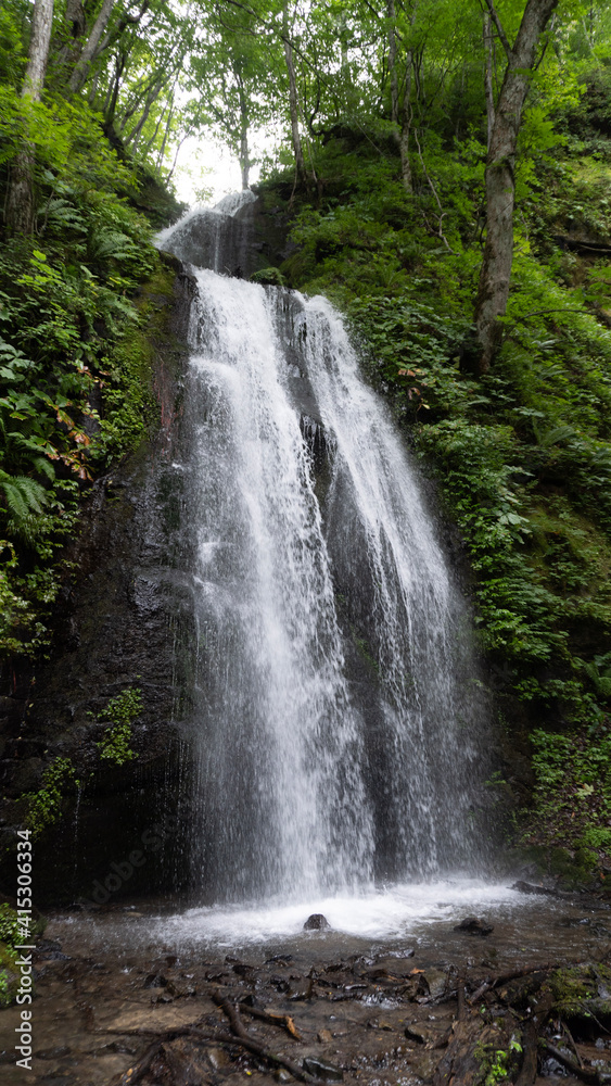 waterfall in the forest