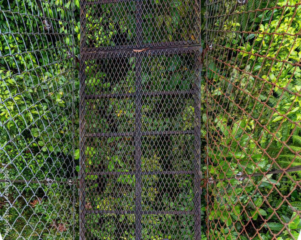 Beautiful view of a canopy bridge in the tropical rain forest in Costa Rica Beautiful view of a canopy bridge in the tropical rain forest in Costa Rica