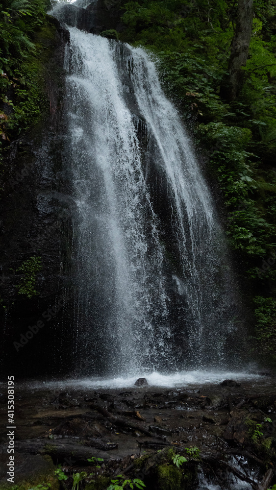 Fototapeta premium waterfall in the forest