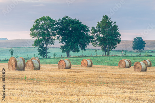 Fototapeta Naklejka Na Ścianę i Meble -  View of the Masurian fields.