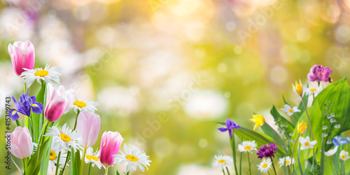 Spring meadow with different flowers flowers