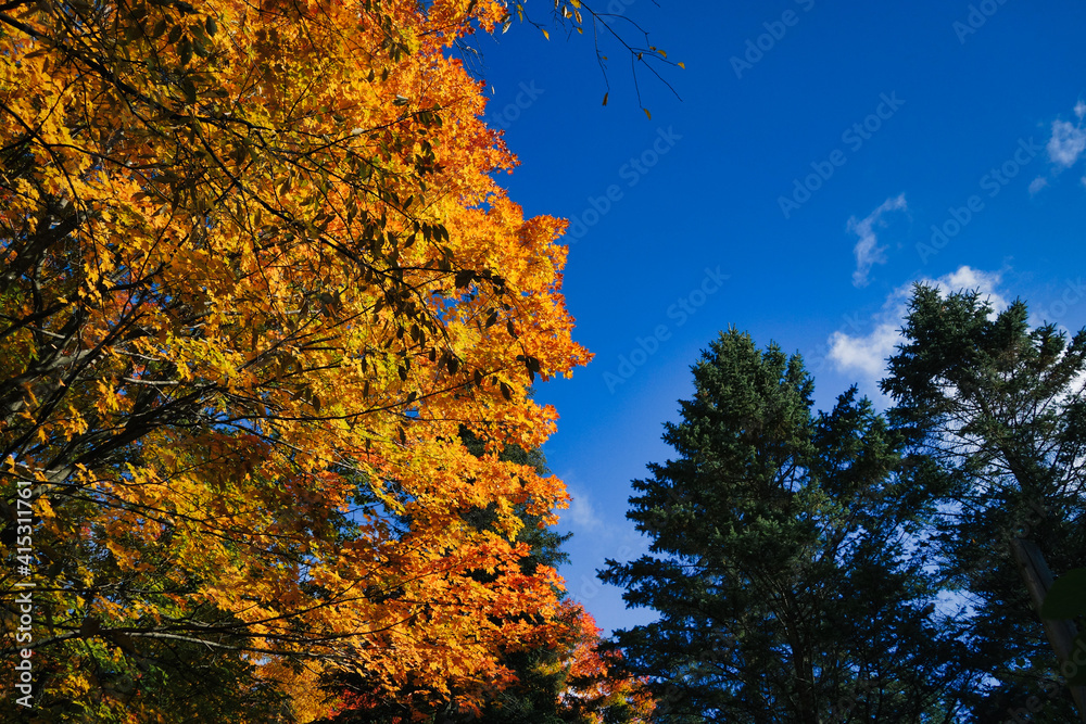 Les couleurs au Québec lors de l'été indien Les couleurs au Québec lors de l'été indien