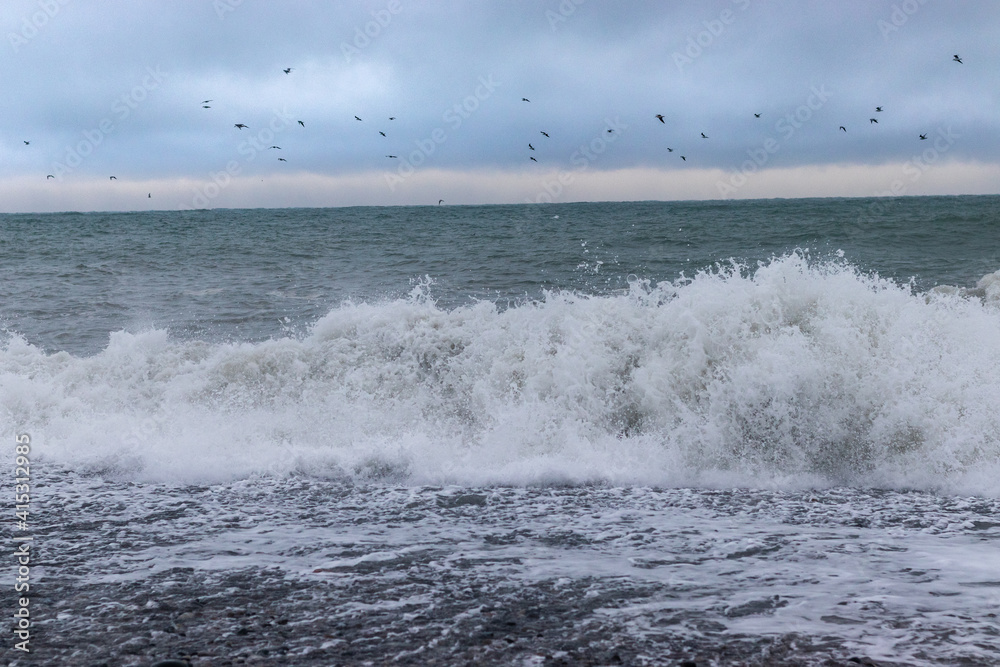 Waves on the snake coast 