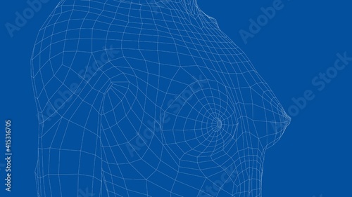 Wireframe female breast. Close-up view