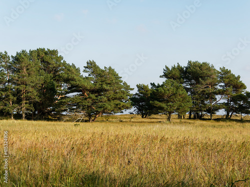 Landschaft mit Dünen und Strandseen am Darßer Ort, Nationalpark Vorpommersche Boddenlandschaft, Mecklenburg Vorpommern, Deutschland photo