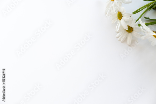 daisies in the corner of the white background