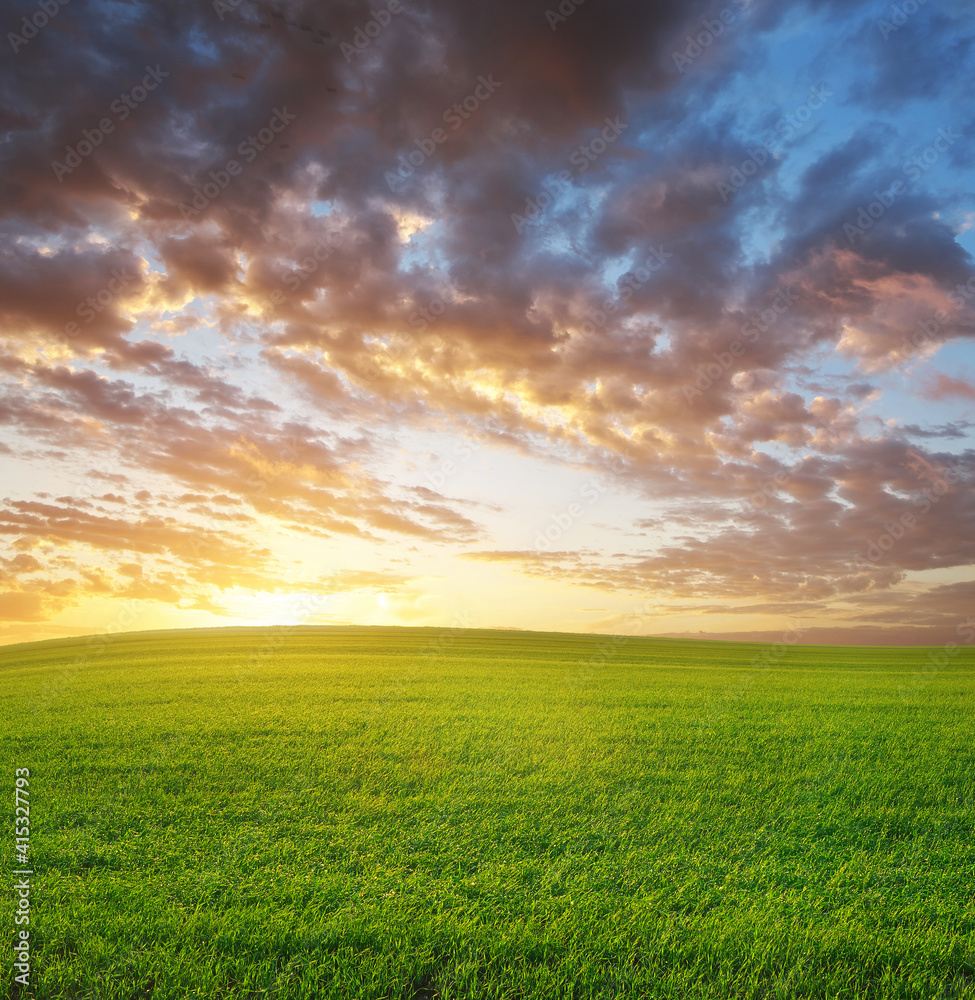 Sunrise in grean meadow.