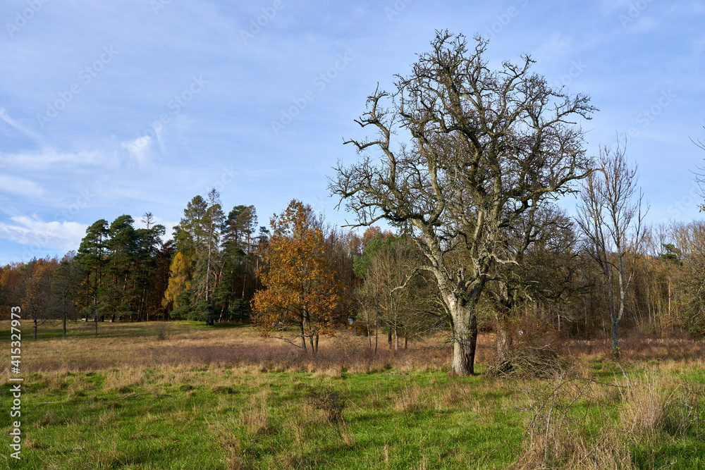 Landschaft im Naturpark Haßberge bei Königsberg in Bayern, Landkreis Haßfurt, Unterfranken, Bayern, Deutschland