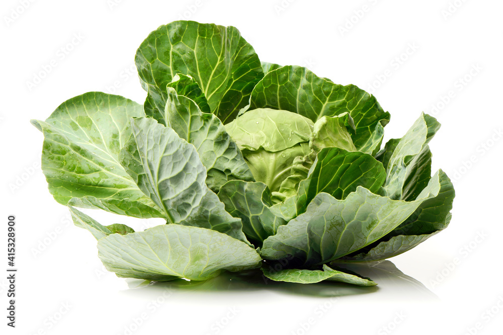 cabbage on white background cabbage on white background
