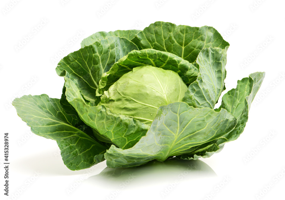cabbage on white background cabbage on white background