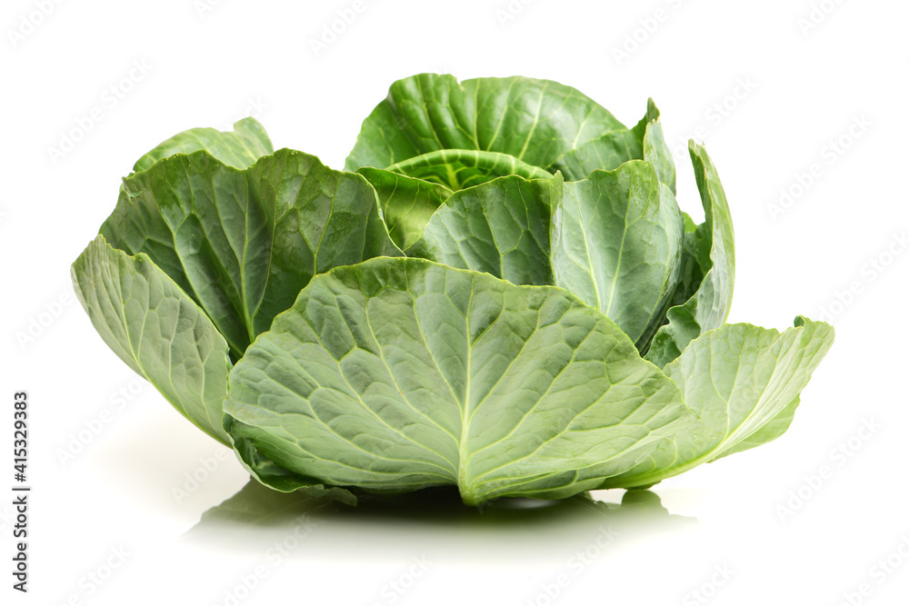 cabbage on white background cabbage on white background