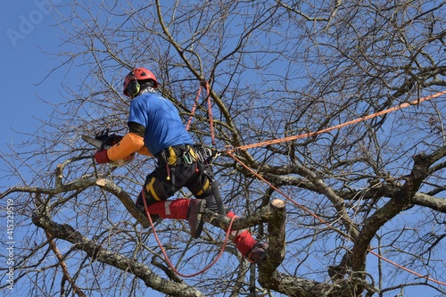 arboriste-12