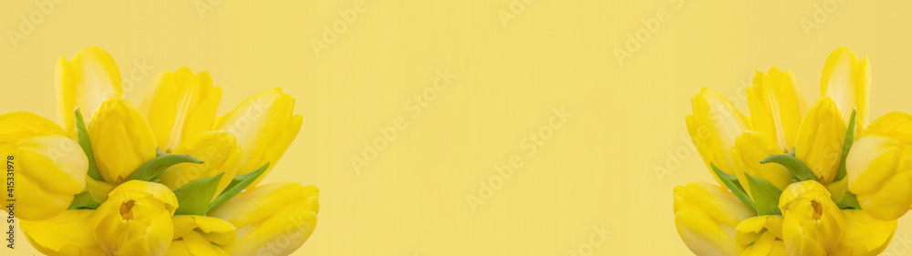 Mother's day / birthday / easter background banner panorama greeting card template - bouquet with yellow tulips ( tulipa ), isolated on yellow background