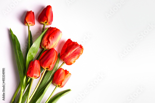 Fototapeta Naklejka Na Ścianę i Meble -  bunch of red tulips isolated on white