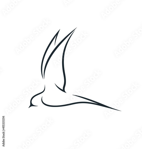 Swallow outline. Isolated swallow on white background