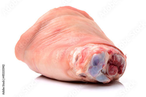 Photography raw pork (leg) isolated on white background