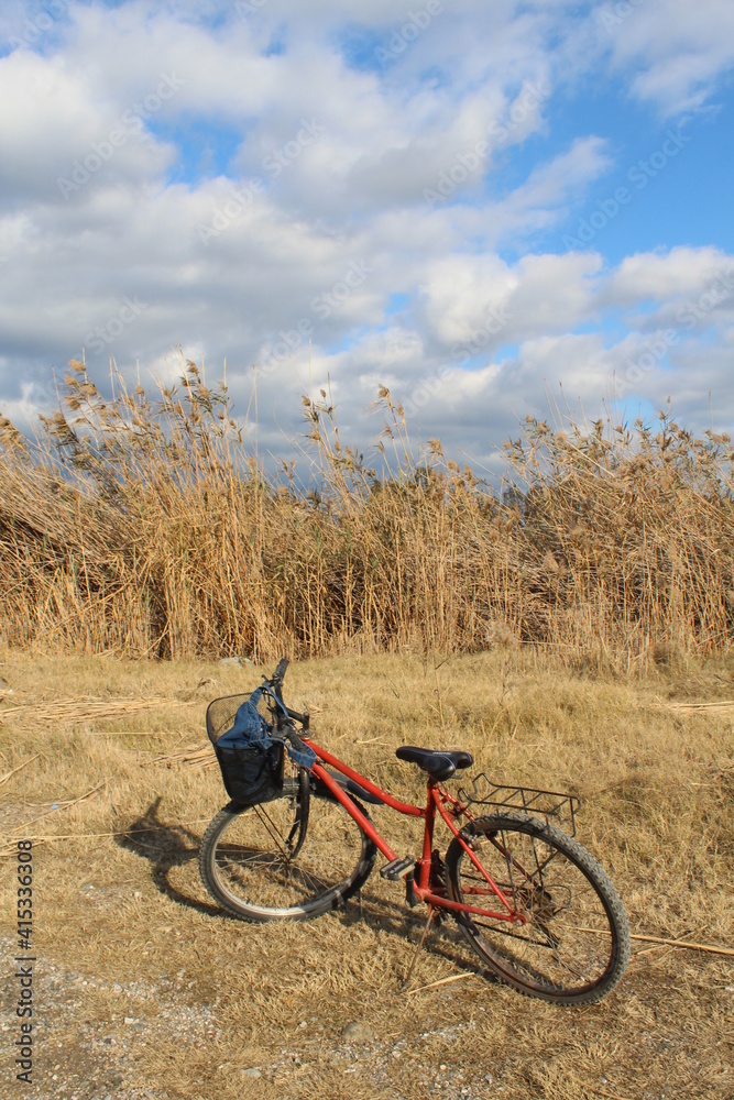 mountain bike on the beach