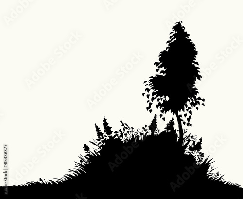 Vector image. Young birch tree grew around an old stump