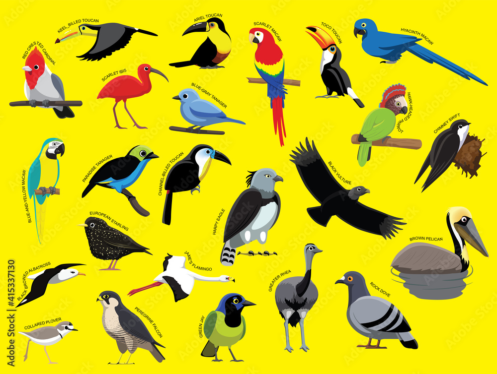 South American Birds with Name Cartoon Character Set 1