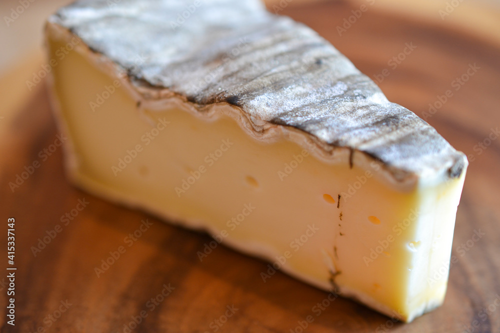 カビに覆われ自然熟成されたサン・ネクテール StockFoto Adobe Stock