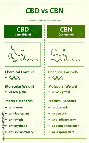 CBD vs CBN, Cannabidiol vs Cannabinol vertical infographic illustration about cannabis as herbal alternative medicine and chemical therapy, healthcare and medical vector.