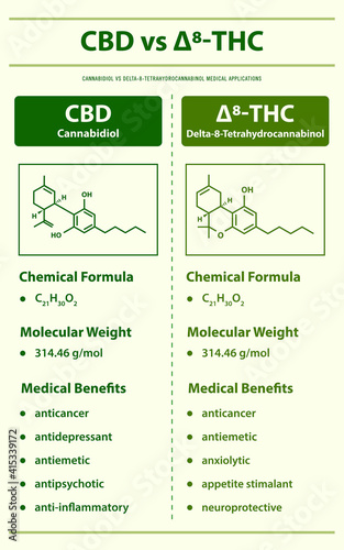 CBD vs ∆8-THC, Cannabidiol vs Delta 8 Tetrahydrocannabinol vertical infographic illustration about cannabis as herbal alternative medicine and chemical therapy, healthcare and medical vector.
