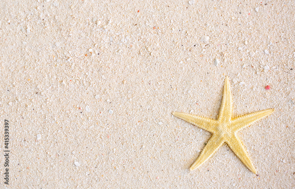 Sea holiday. The concept of vacation, resort and beach vacation. Beach sand with shells and starfish. Copy space with place for text. Sea holiday. The concept of vacation, resort and beach vacation. Beach sand with shells and starfish. Copy space with place for text.