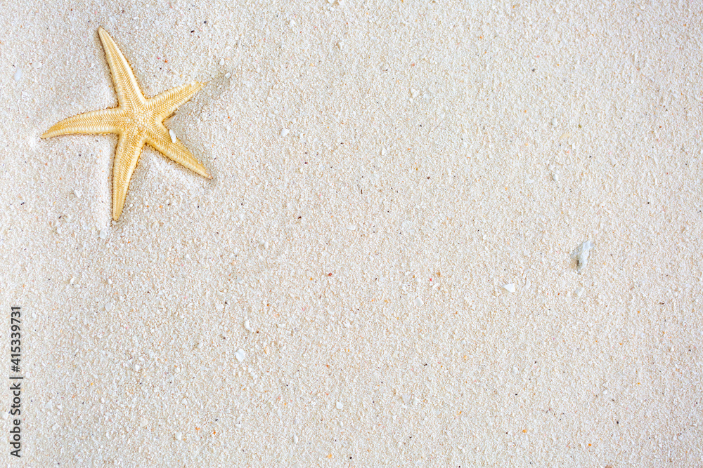 Sea holiday. The concept of vacation, resort and beach vacation. Beach sand with shells and starfish. Copy space with place for text. Sea holiday. The concept of vacation, resort and beach vacation. Beach sand with shells and starfish. Copy space with place for text.