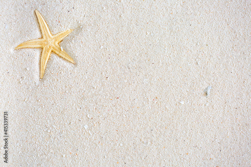 Fototapeta Naklejka Na Ścianę i Meble -  Sea holiday. The concept of vacation, resort and beach vacation. Beach sand with shells and starfish. Copy space with place for text.