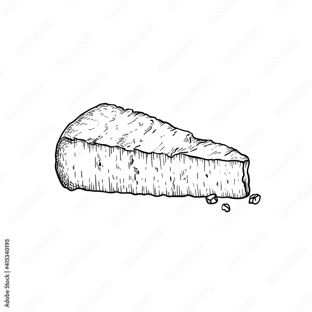 Parmesan (Parmegiano) cheese. Hand drawn sketch style drawing of