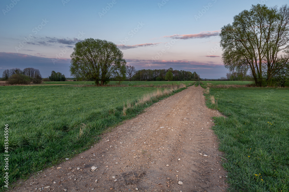 Road in green meadow, trees and evening clouds on the blue sky