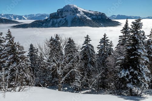 Sommet de Chamechaude , Paysage d' hiver en montagne , massif de la Chartreuse , Isère , Alpes France photo