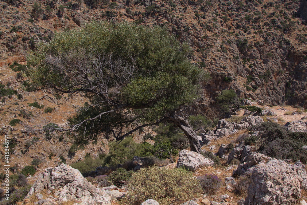 Landscape on Akrotiri peninsula on Crete in Greece, Europe
