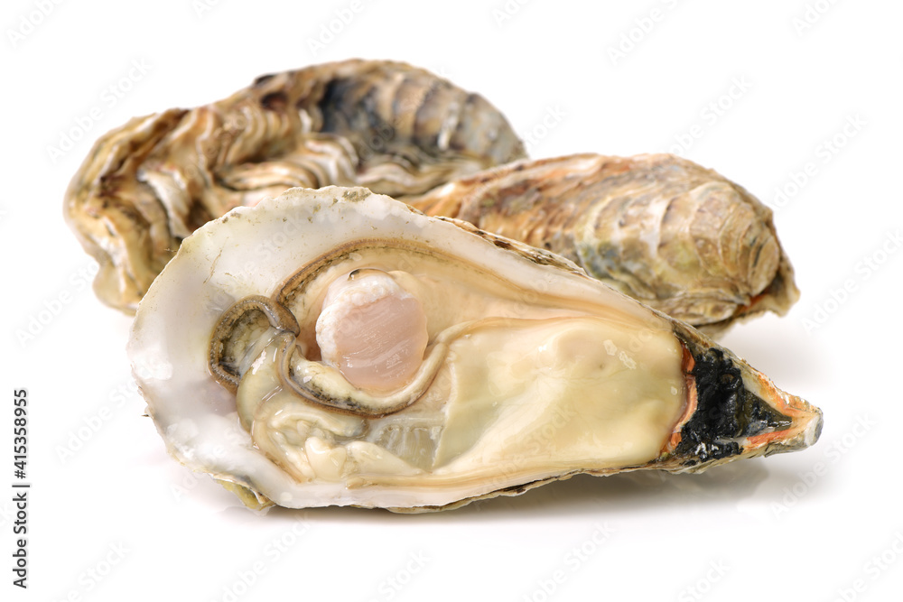 Naklejka premium Fresh opened oyster on white background