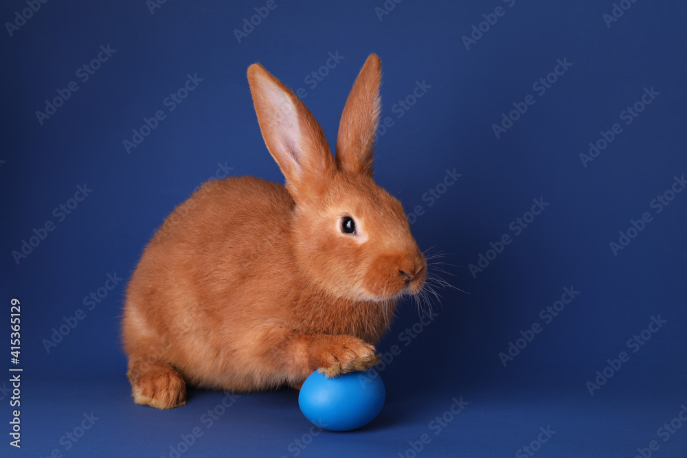 Obraz premium Cute bunny and Easter egg on blue background, space for text