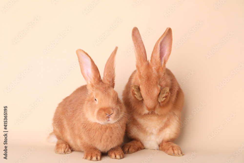 Fototapeta premium Cute bunnies on beige background. Easter symbol