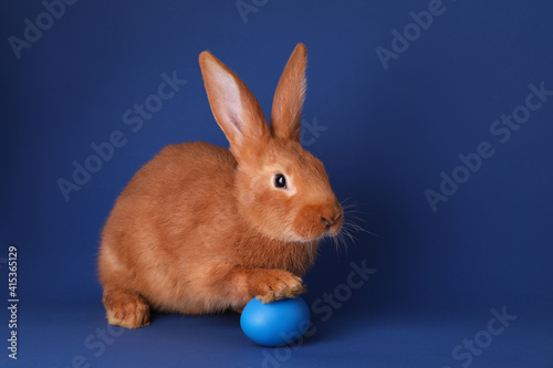 Cute bunny and Easter egg on blue background, space for text