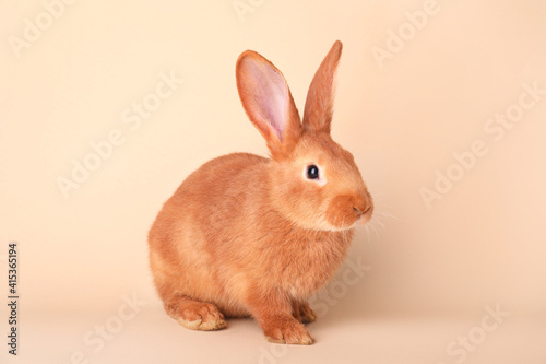 Cute bunny on beige background. Easter symbol