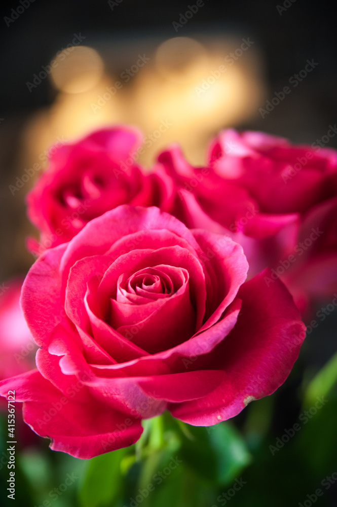 Fototapeta premium Beautiful flower bouquet of pink rose.
