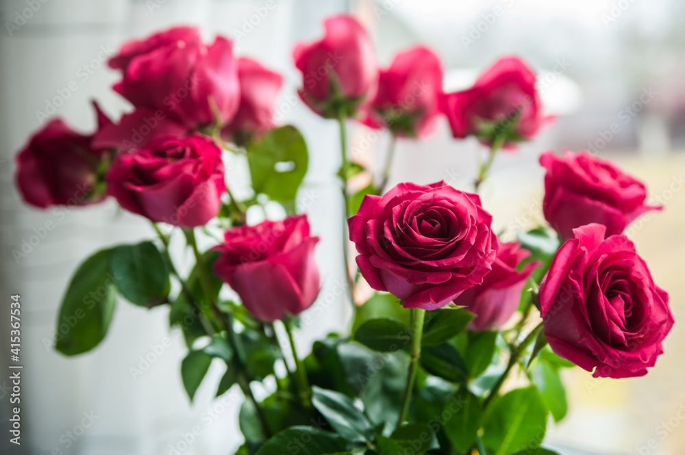 Beautiful flower bouquet of pink rose. Big bouquet of roses in vase on table near the window. Beautiful flower bouquet of pink rose. Big bouquet of roses in vase on table near the window.
