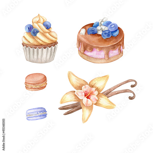 Watercolor elements for decoration: cupcake, cake, macaroni and vanilla flower