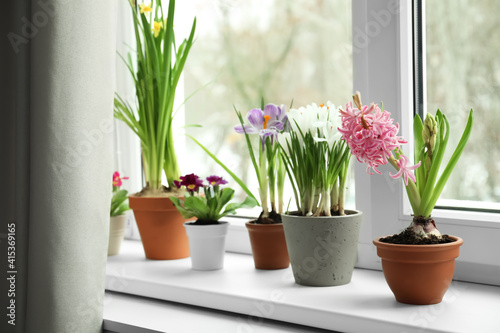 Different flowers growing in ceramic pots on window sill