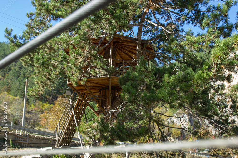 Wooden treehouse on a pine tree in the mountains with a wooden staircase Wooden treehouse on a pine tree in the mountains with a wooden staircase