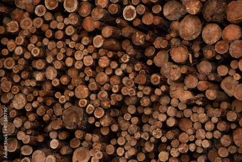 Background of cut wood logs stacked in a pile. wood for the production of chipboard