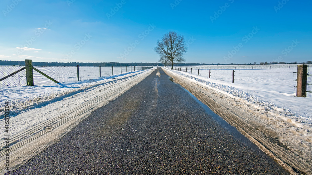 Dutch winter landscape in the countryside in the Netherlands