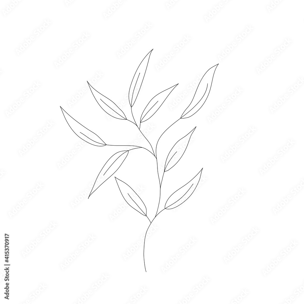 Vector doodle branch. Silhouette of plant. Vector doodle branch. Silhouette of plant.